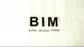 View What is BIM?
